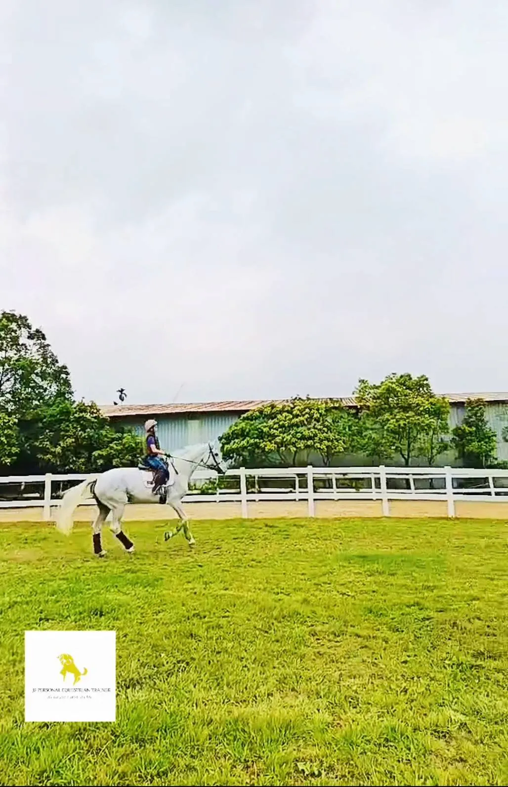 遠道而來的香港朋友，希望我們的課程讓你滿載而歸。馬術課程｜台北馬術課程｜騎馬體驗｜學騎馬