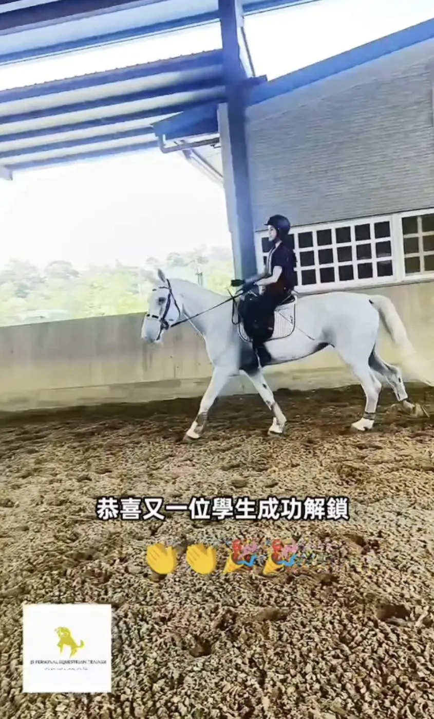 再次恭喜又一位學員成功解鎖｜台北馬術課程｜騎馬體驗｜台北學騎馬