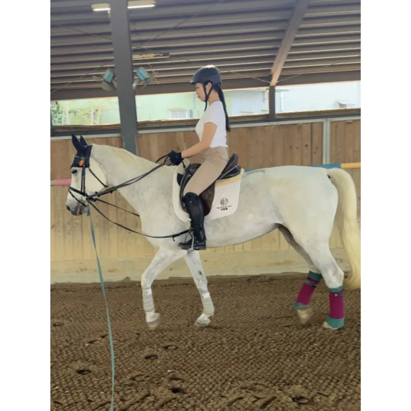 當你騎乘時找到“手感”...那恭喜你~~台北學騎馬｜馬術課程｜台北馬場｜騎馬體驗｜台北馬術課程