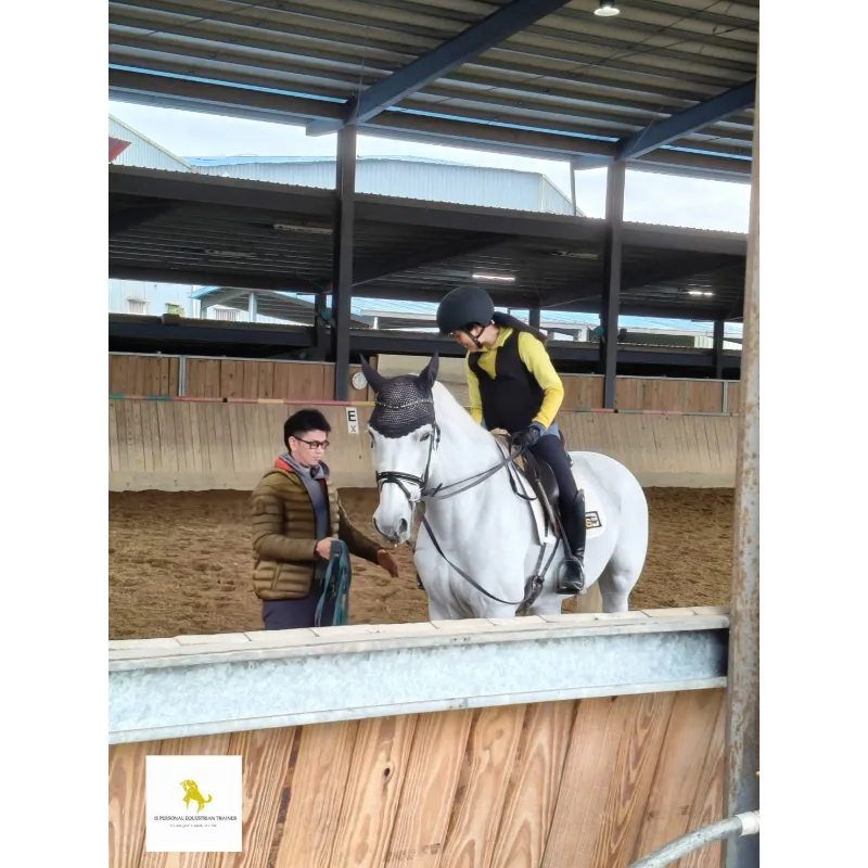 按步就班、日益精進，再次恭喜又因一位學員成功解鎖跑步課程｜台北學騎馬｜騎馬體驗｜馬術課程｜台北馬場｜學騎馬費用