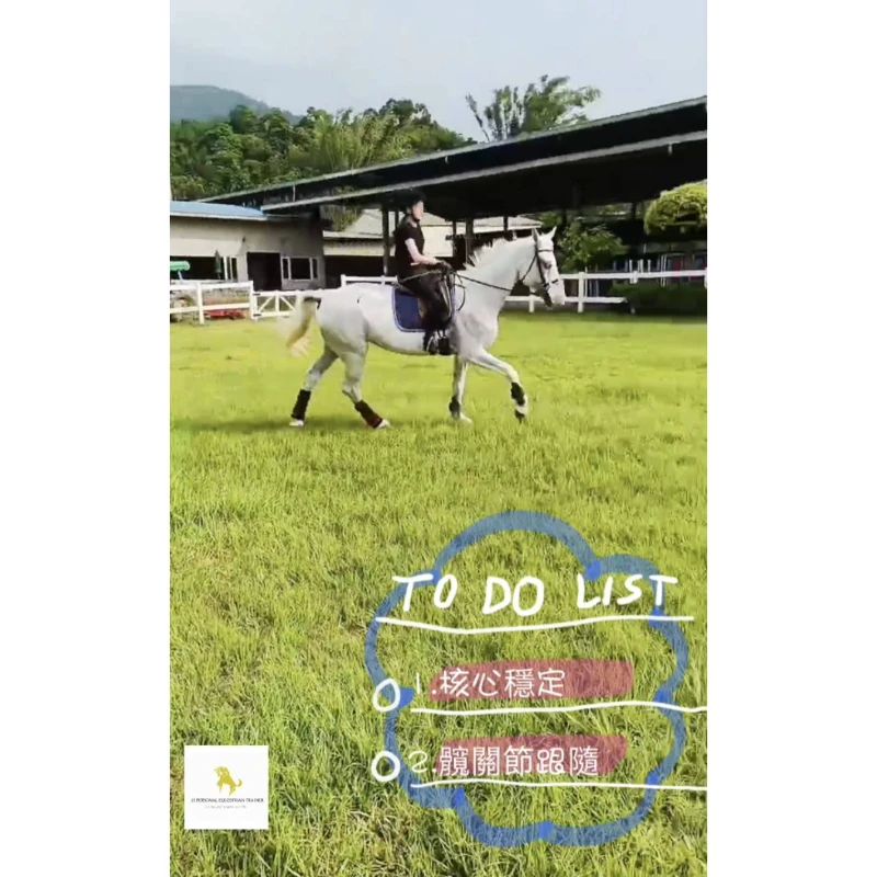 為什麼騎乘跑步時容易中斷呢？馬術課程｜台北學騎馬｜台北馬場｜騎馬體驗｜台北馬術課程