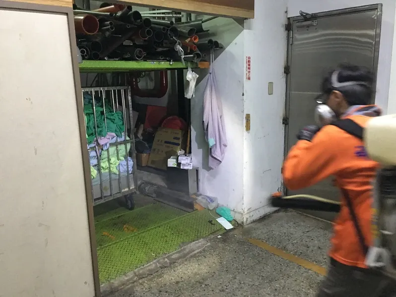 該如何除跳蚤？/台北除跳蚤,中山區除跳蚤,台北消毒公司推薦,桃園消毒公司推薦,台北除蟲公司推薦,桃園除蟲公司推薦,台北除白蟻公司,中山區除白蟻公司