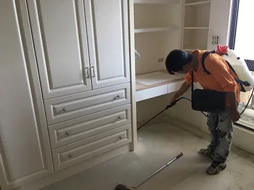 白蟻出現前會有什麼徵兆？5大警訊不可忽視｜台北除白蟻,台北白蟻防治,台北社區消毒,台北大樓消毒