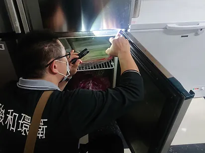 潮濕環境真的會吸引白蟻嗎？專業解析＋預防方法｜台北消毒公司推薦,台北民宿消毒,台北工廠消毒,台北除白蟻公司