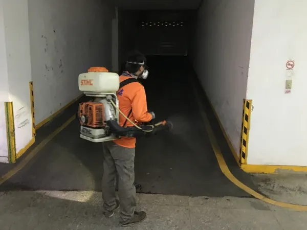 跳蚤防治
