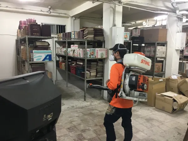 台北跳蚤防治 | 中山區跳蚤防治 | 中山區除跳蚤公司