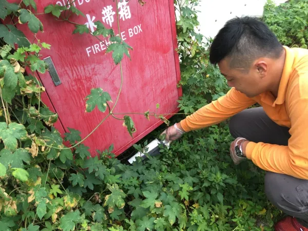 台北滅鼠公司 | 中山區滅鼠公司 | 中山區老鼠防治