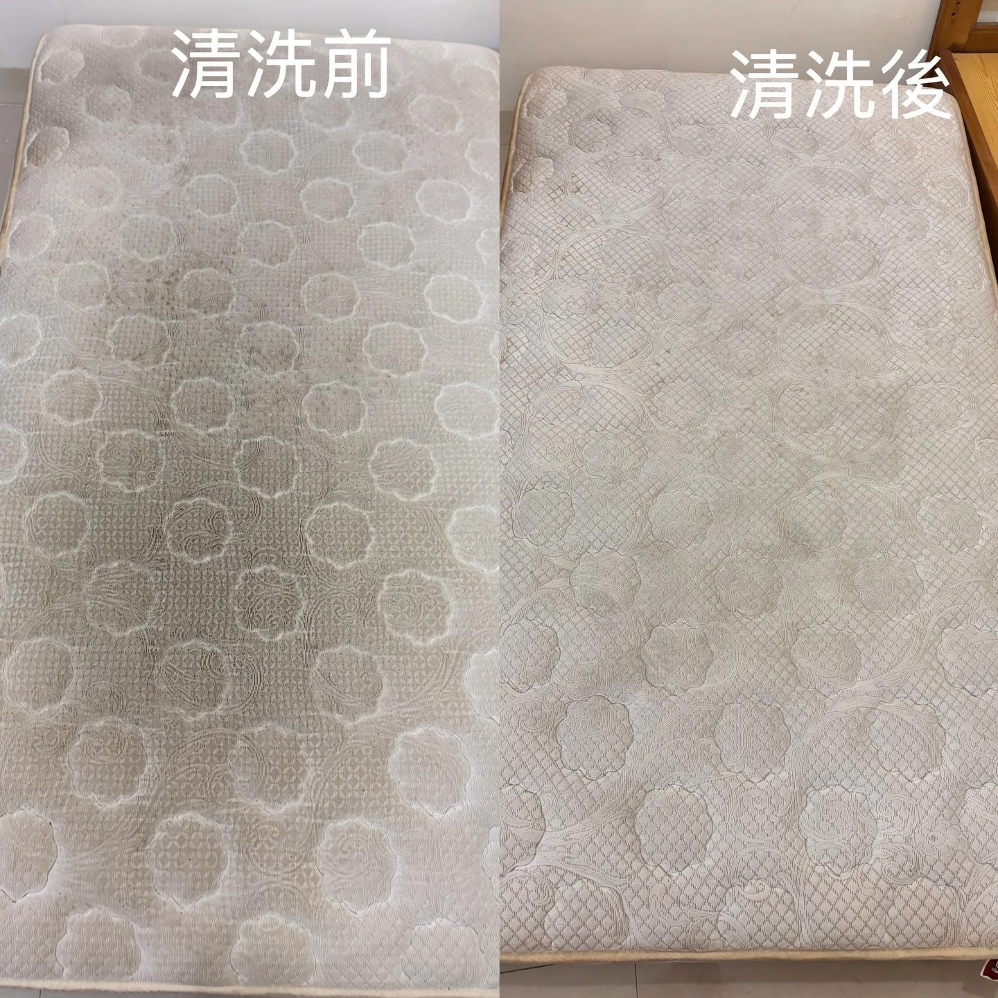 實績案例│新北市中和區