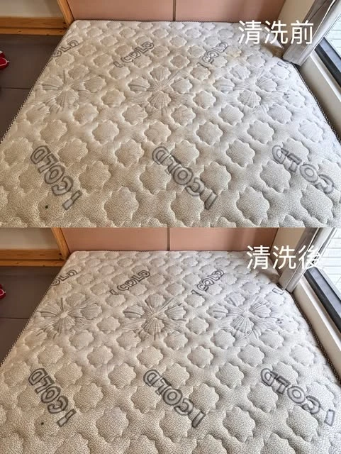實績案例│新北市三峽區