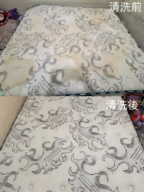 實績案例│新北市板橋區