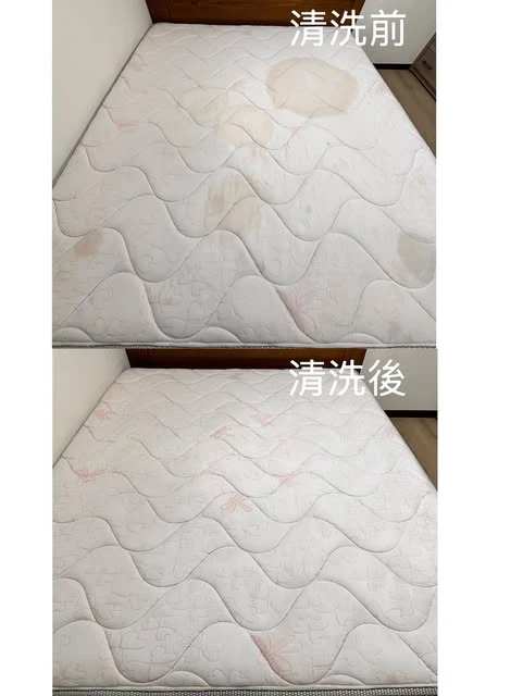 實績案例│新北市板橋區
