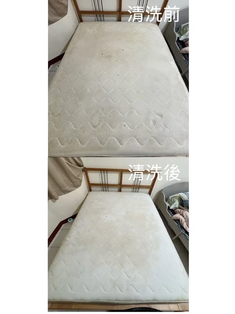 實績案例│新北市蘆洲區