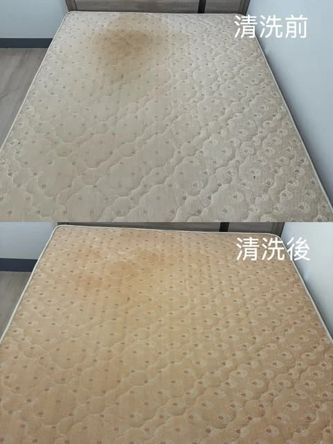 實績案例│新北市永和區