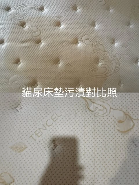 實績案例│新北市三重區