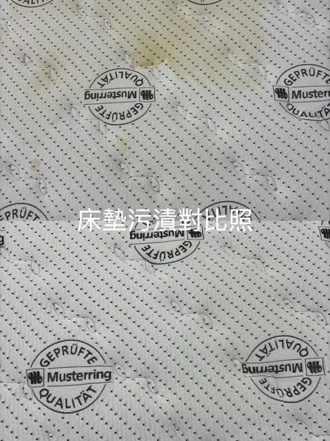 實績案例│新北市板橋區