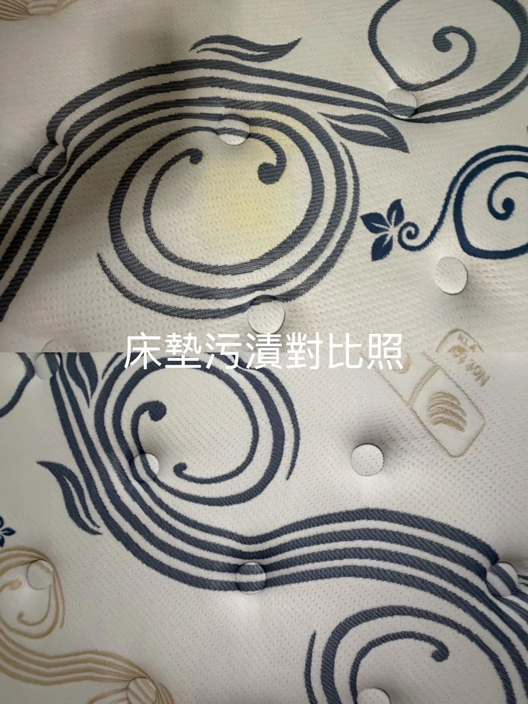 實績案例│新北市蘆洲區