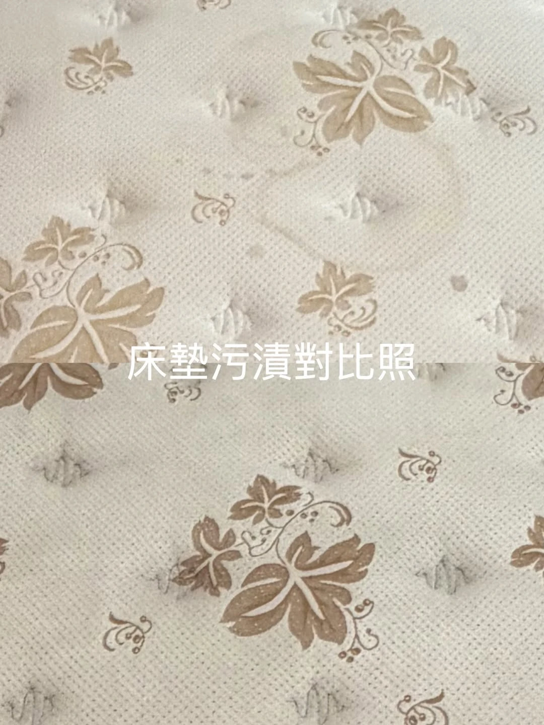 實績案例│桃園市桃園區