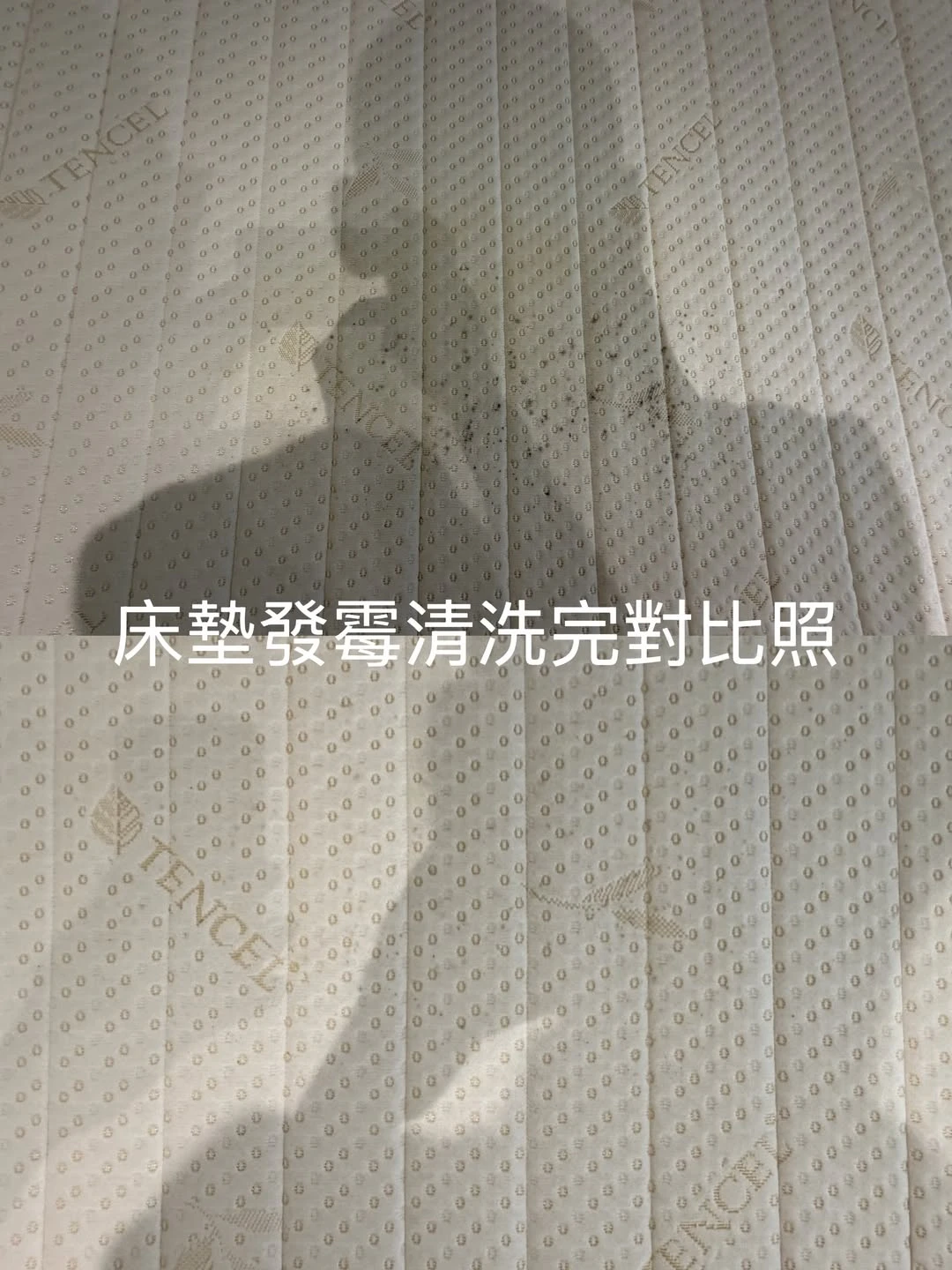 實績案例│台北市信義區