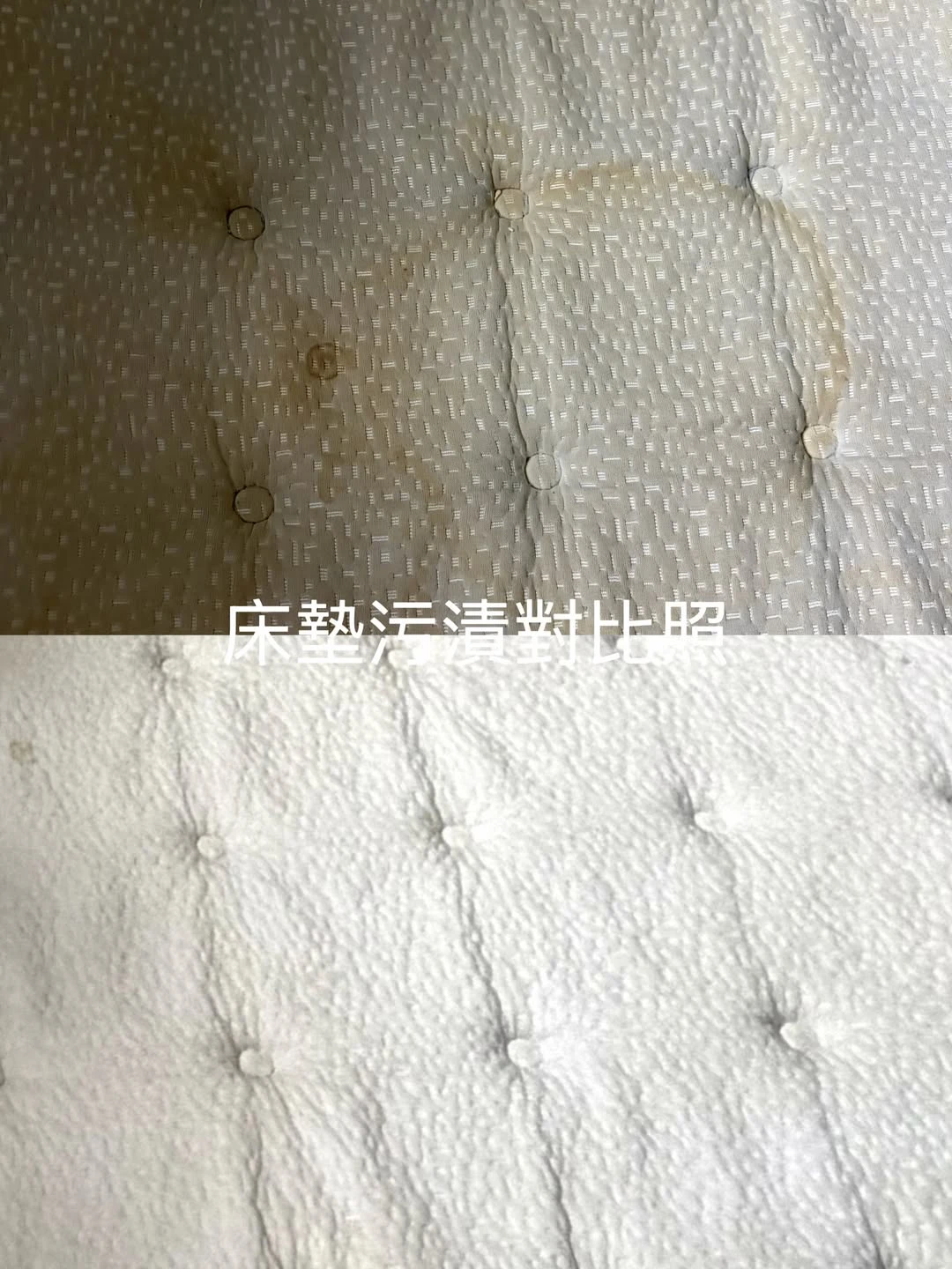 實績案例│桃園市桃園區