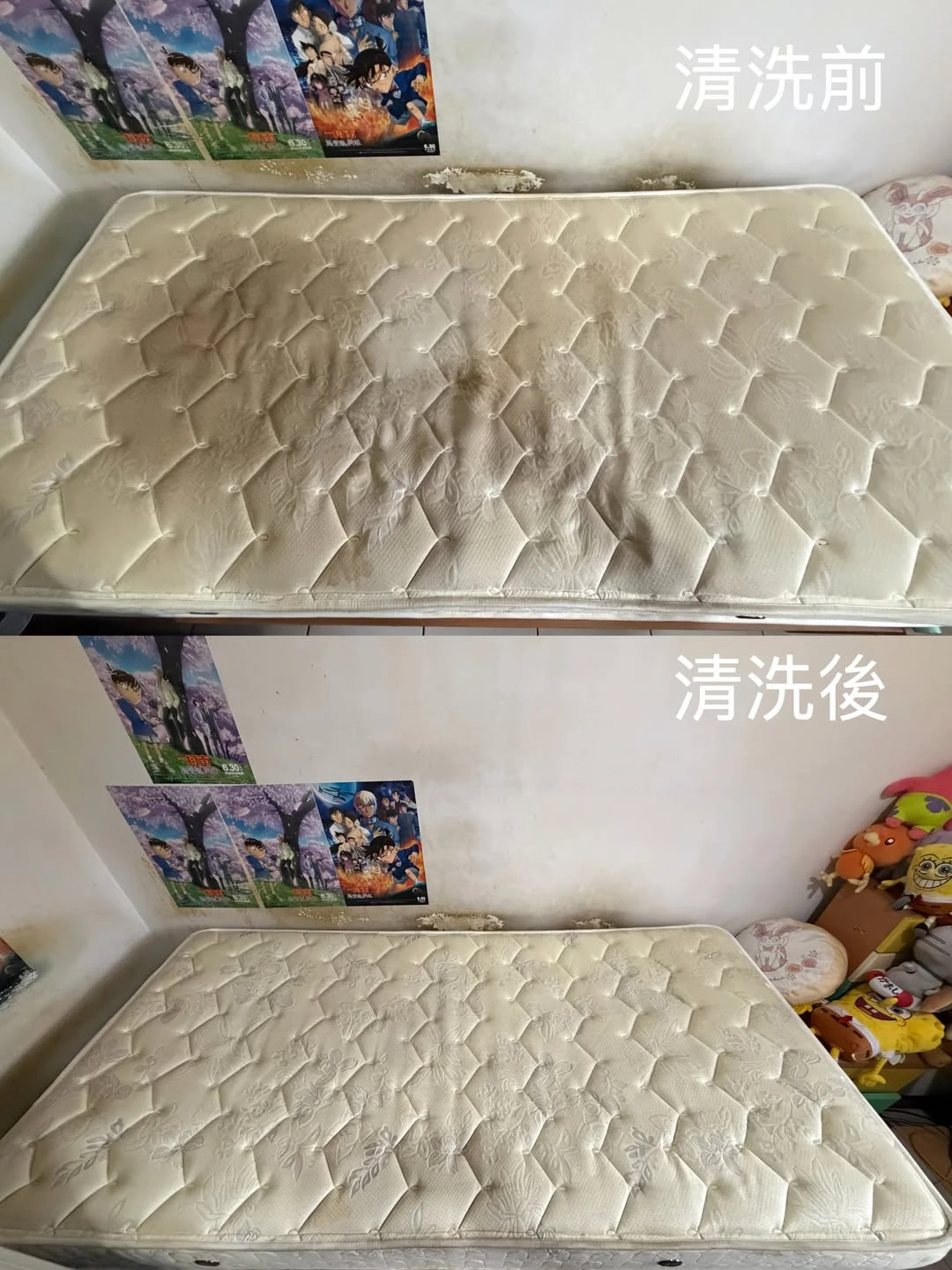實績案例│新北市新莊區