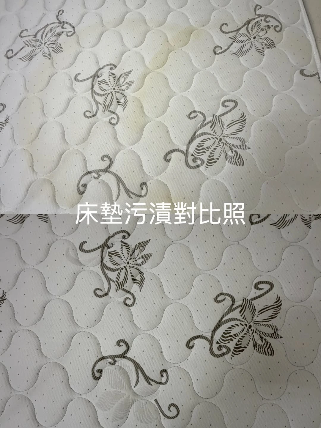 實績案例│新北市板橋區