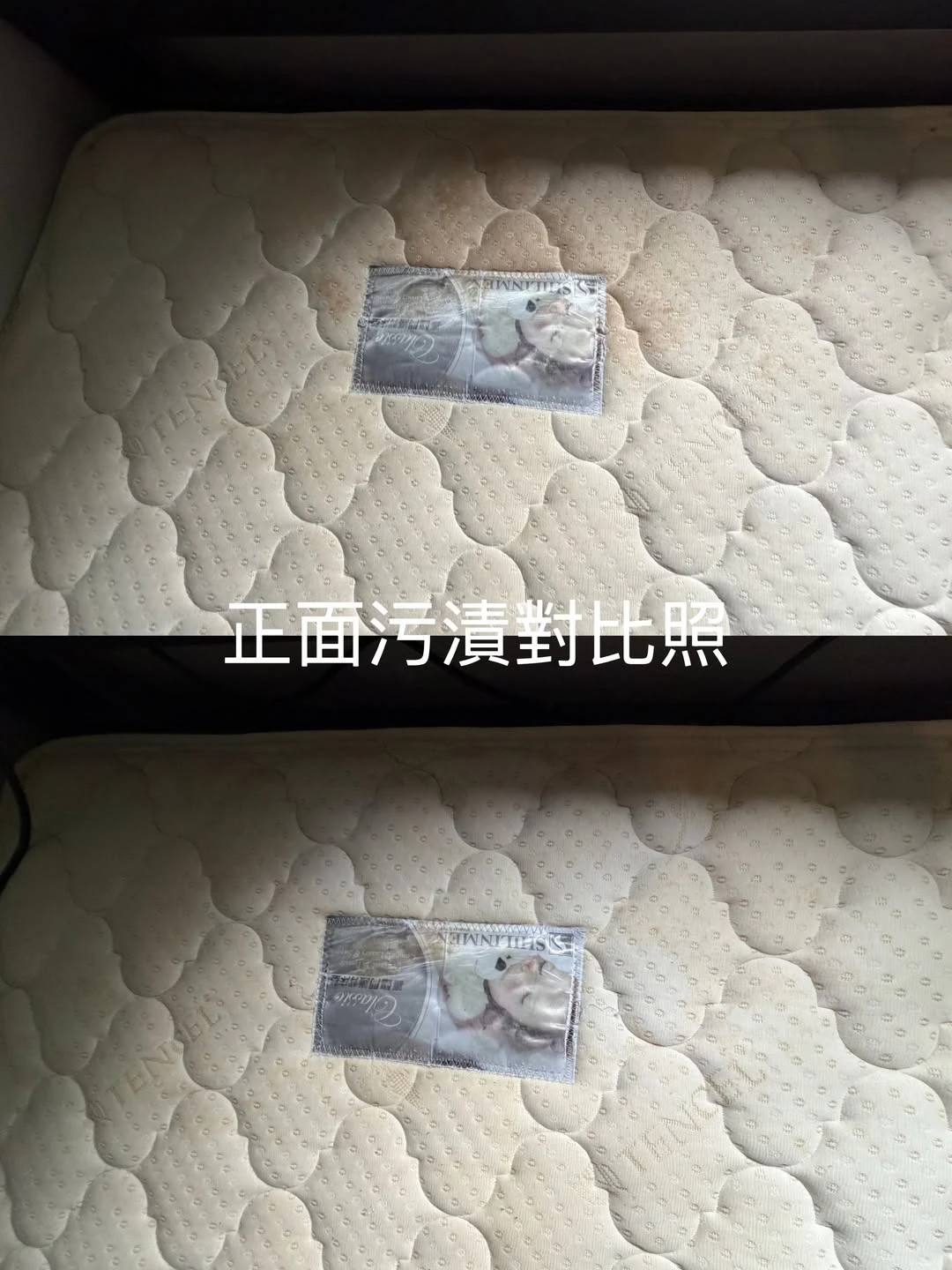 實績案例│台北市中正區