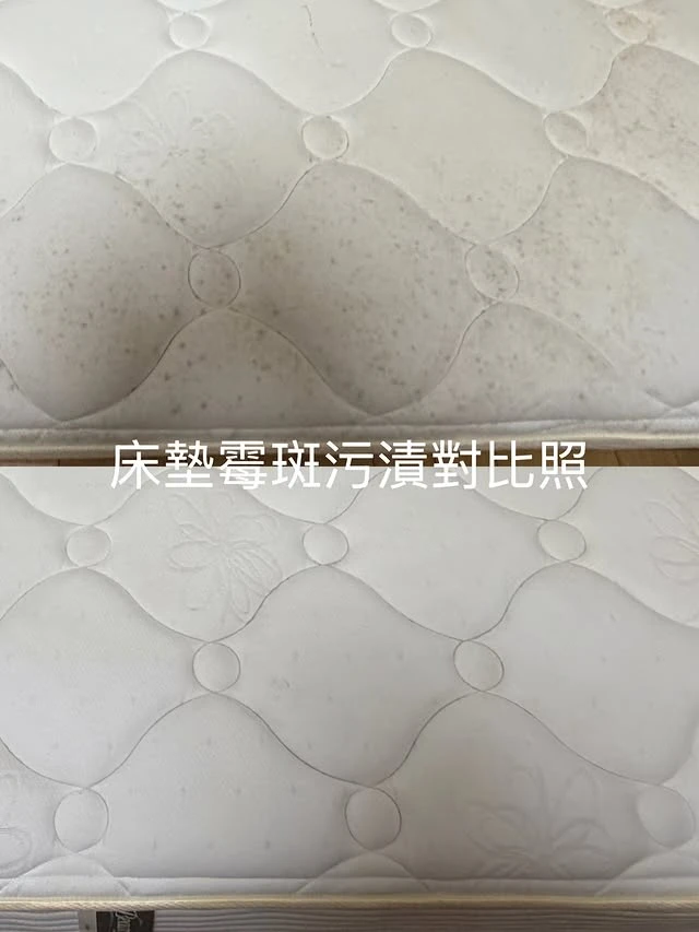 實績案例│桃園市蘆竹區