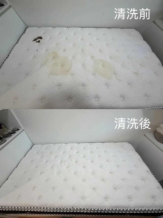 實績案例│新北市板橋區