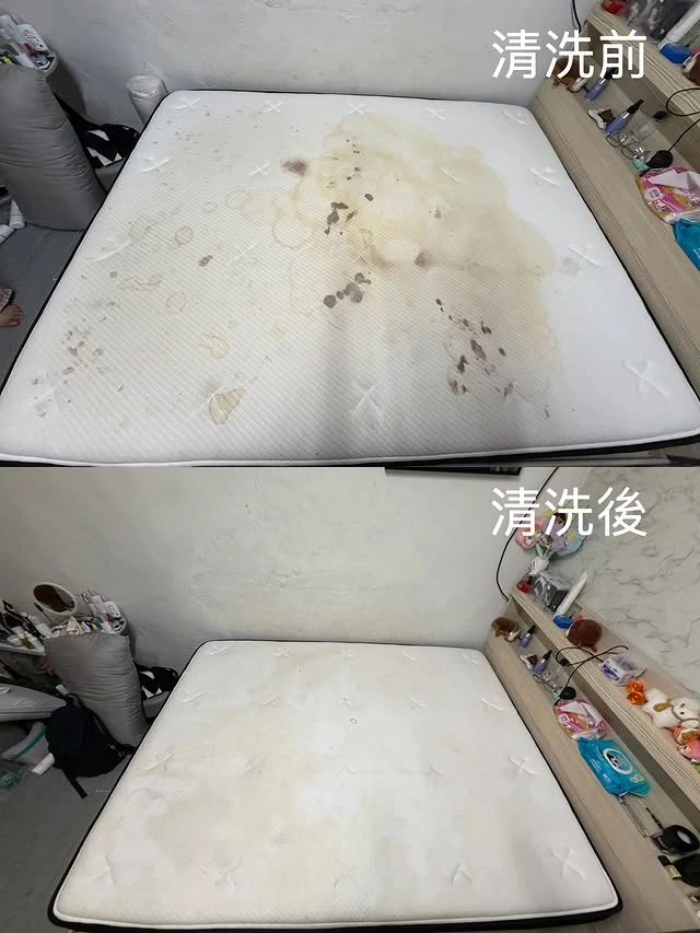 實績案例│新北市蘆洲區