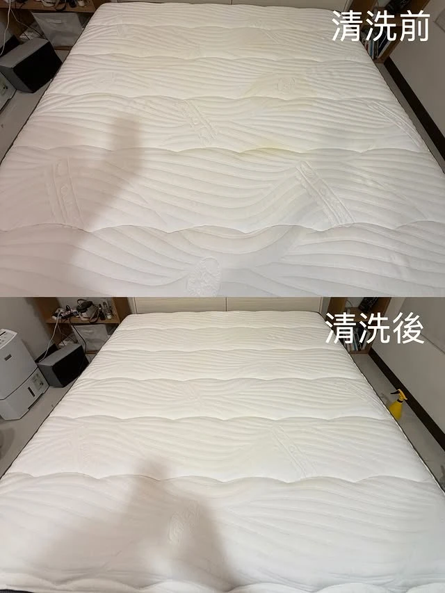 實績案例│新竹縣湖口鄉