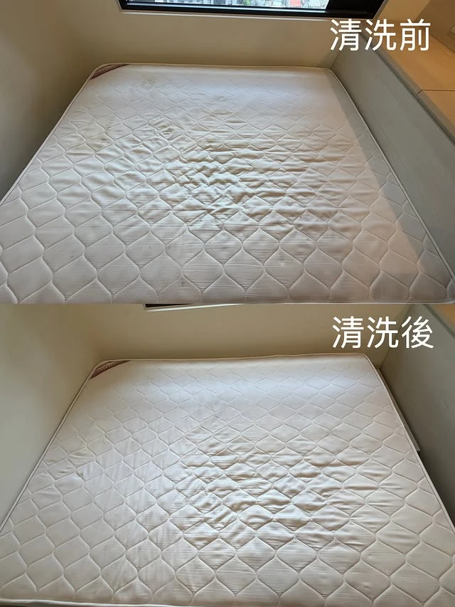 實績案例│新北市新莊區