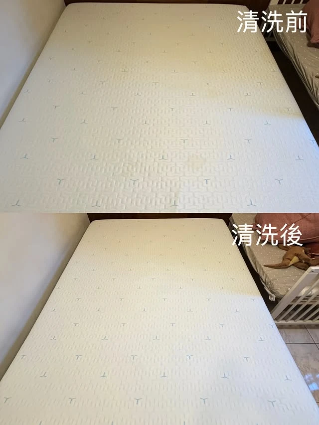 實績案例│新北市中和區