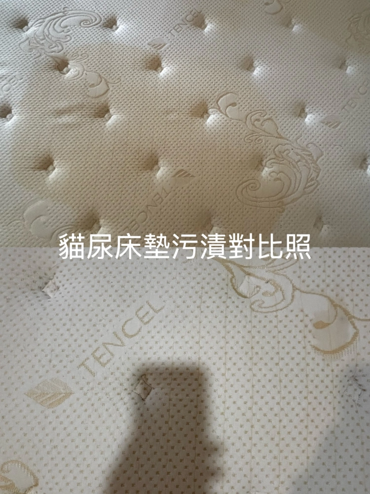 標準雙人床