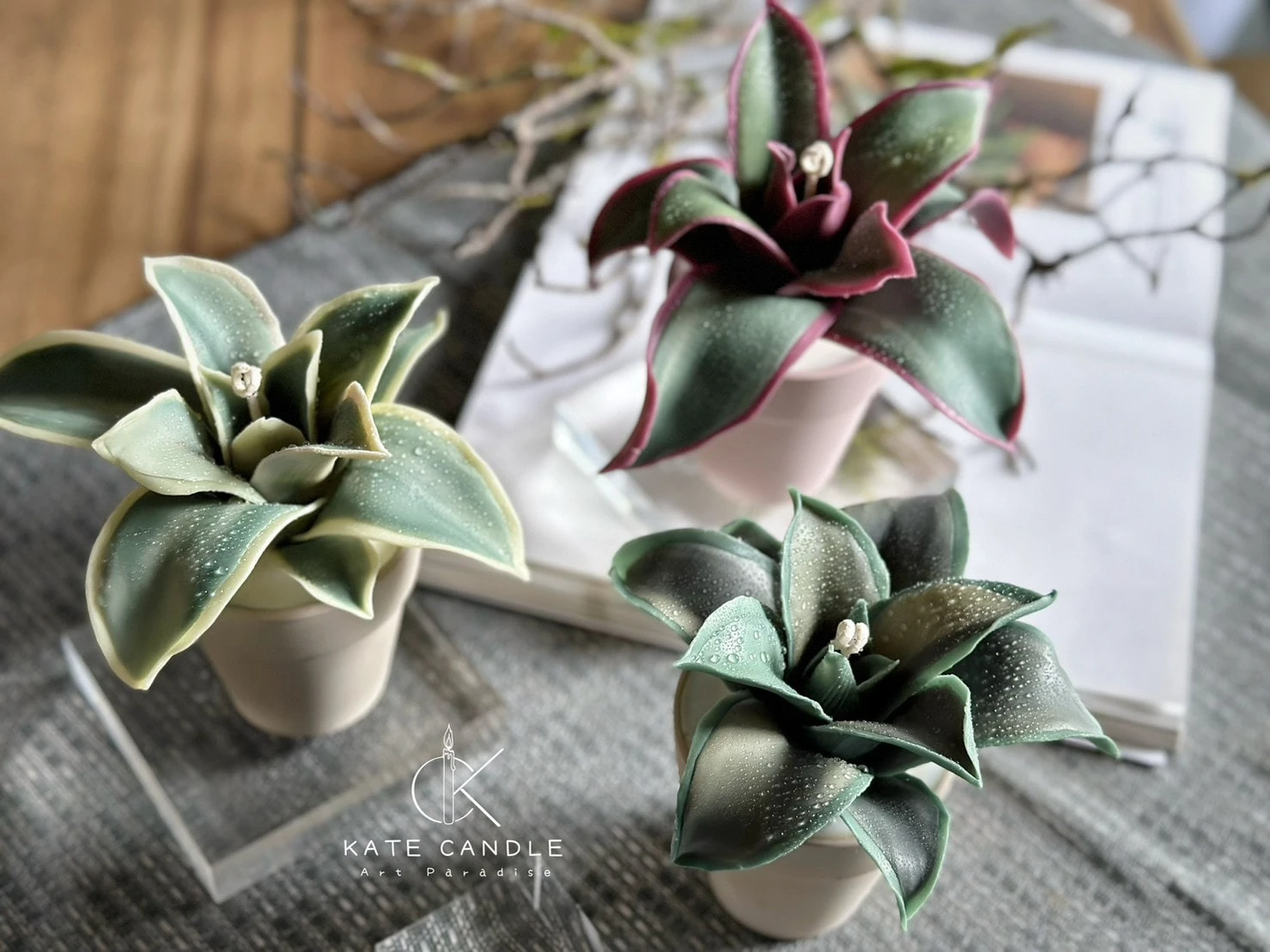 CLAB Wax Plant candle