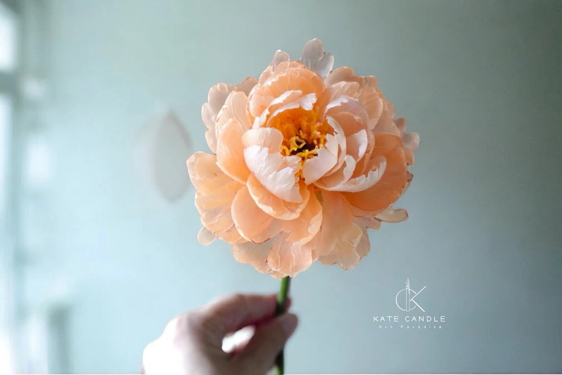 韓式裱花
