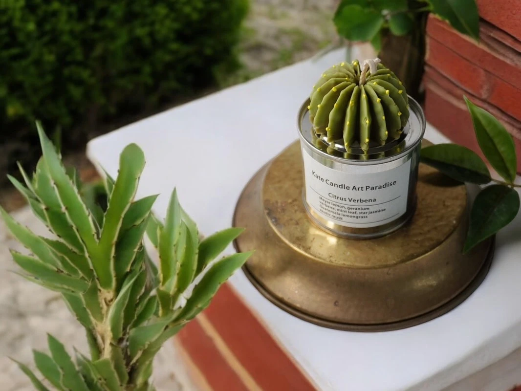 Cactus candle 仙人掌蠟燭