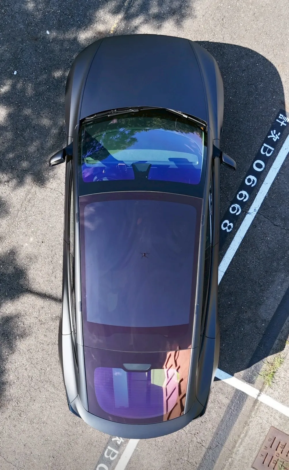 BLUE 藍光天幕膜