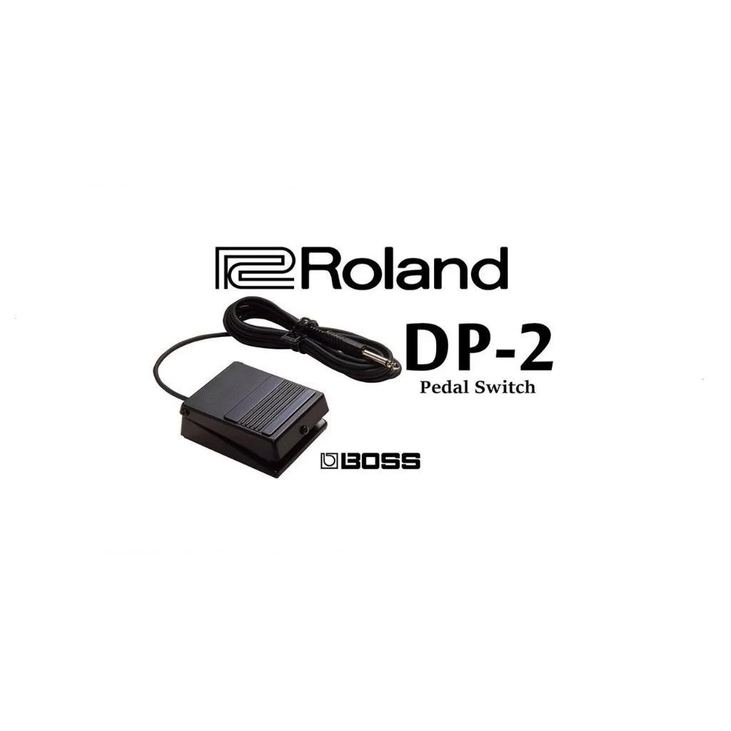Roland 延音踏板/單踏 DP-2 適合鍵盤樂器-電子琴-電鋼琴:樂蘭/山葉專用