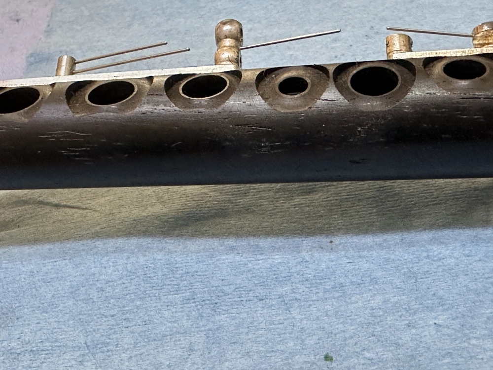 2026年1月-雲林縣國中藝才班-短笛保養