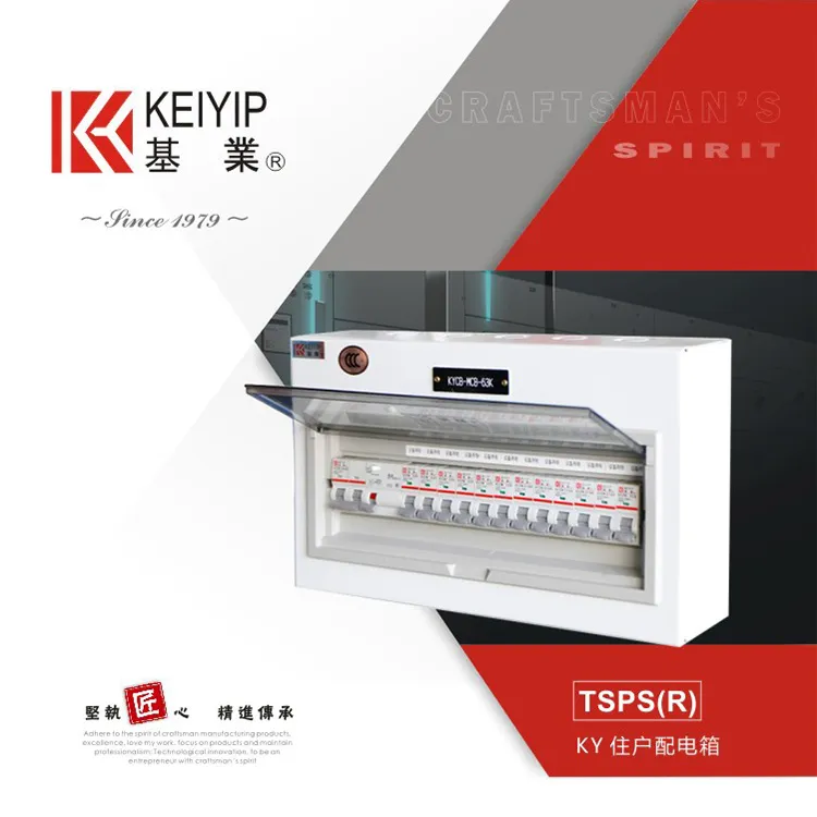 KY Residential Distribution Board-TSPS(R)