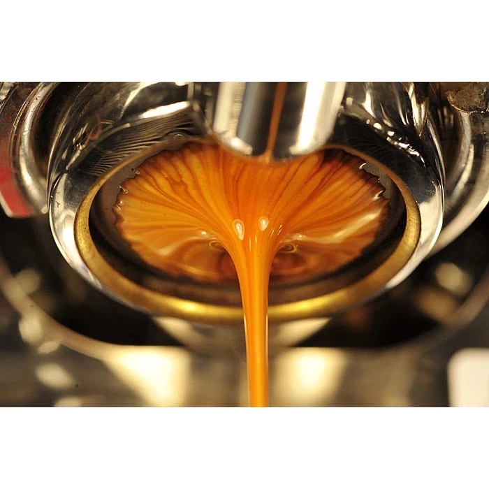 2025台北線上咖啡展［一磅咖啡專賣］耶珈雪菲、巴拿馬藝伎、薇薇特南果、豔夏花荔、草莓釀酒、桂花釀、巴西｜KJ。咖啡場所