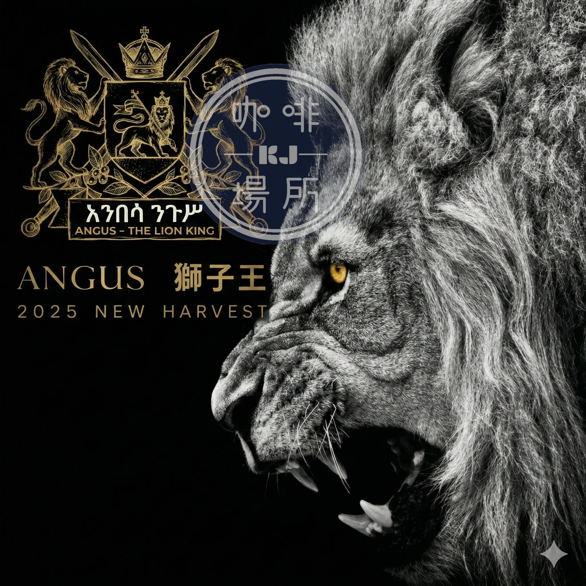 衣索比亞 古吉 安格斯獅子王 日曬處理 G1