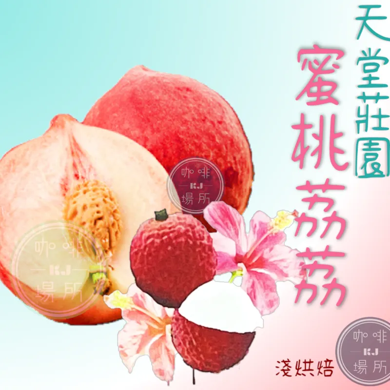 哥倫比亞 考卡省 天堂莊園 雙重厭氧發酵【蜜桃荔荔】