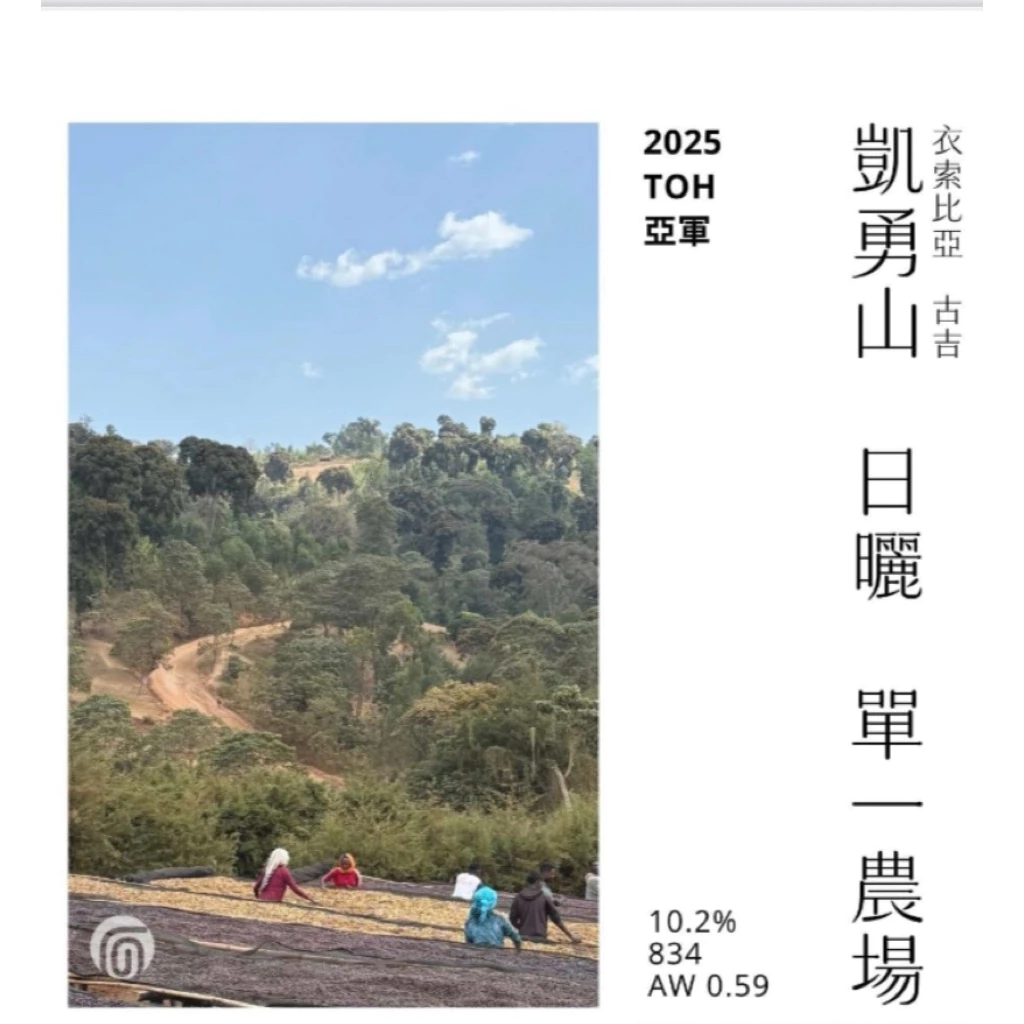 2025台北咖啡展～超級強豆·震撼登場【2025 TOH 亞軍】衣索比亞 古吉 凱勇山 ⽇曬 單⼀農場｜KJ·咖啡場所