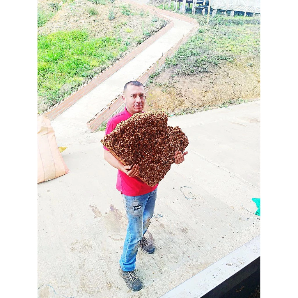 2025台北線上咖啡【一生喝過艷夏花荔·此生無憾】蝦皮銷售冠軍 哥倫比亞 天堂莊園 雙重厭氧【豔夏花荔】|KJ·咖啡場所