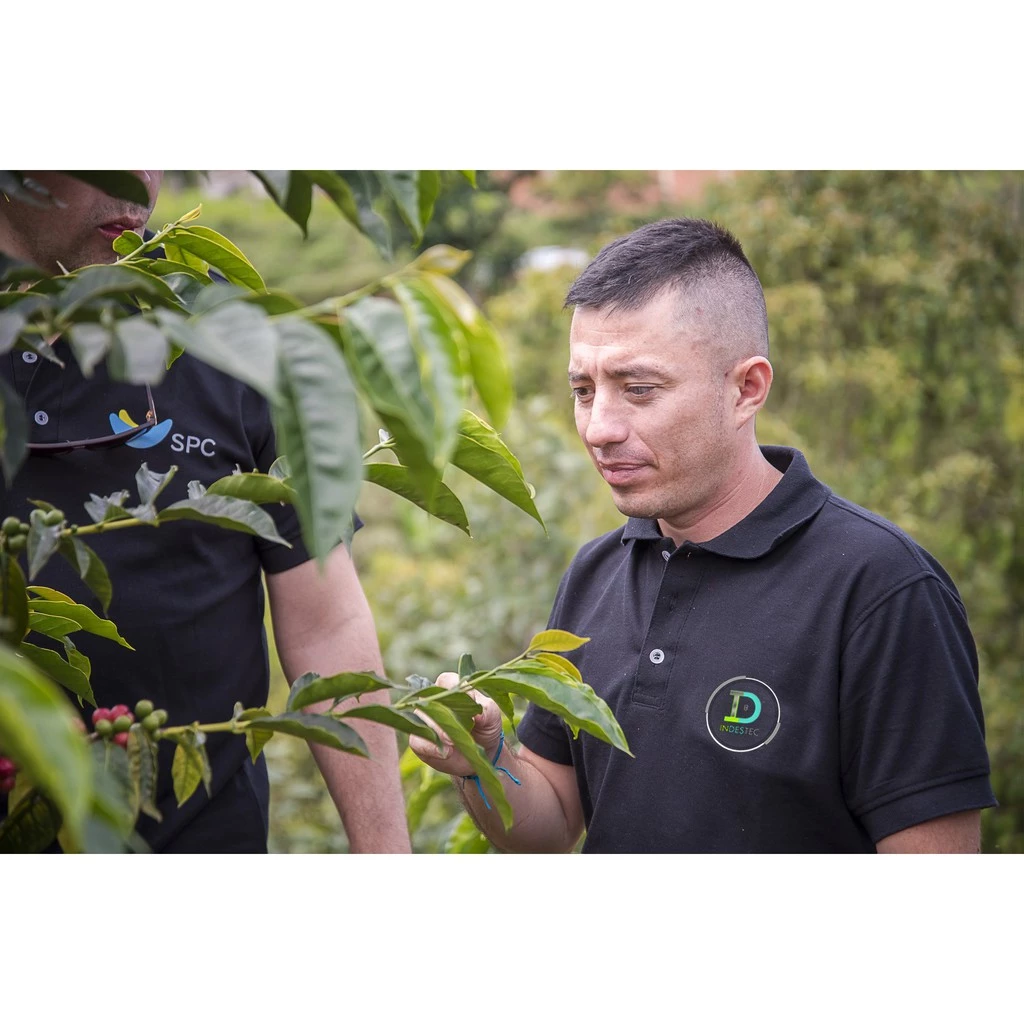 2025台北線上咖啡【一生喝過艷夏花荔·此生無憾】蝦皮銷售冠軍 哥倫比亞 天堂莊園 雙重厭氧【豔夏花荔】|KJ·咖啡場所