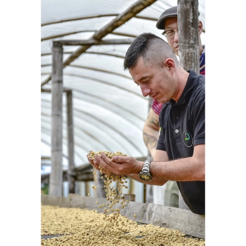 2025台北線上咖啡【一生喝過艷夏花荔·此生無憾】蝦皮銷售冠軍 哥倫比亞 天堂莊園 雙重厭氧【豔夏花荔】|KJ·咖啡場所