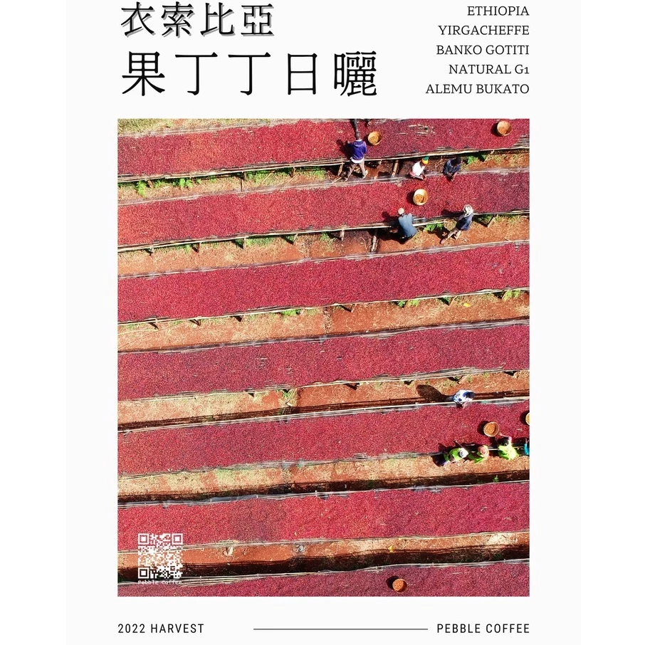 2025台北線上咖啡展【最經典水洗耶加非常好喝·2025全新產季】水洗 耶珈雪啡 果丁丁處理廠G1 淺焙｜KJ。咖啡場所