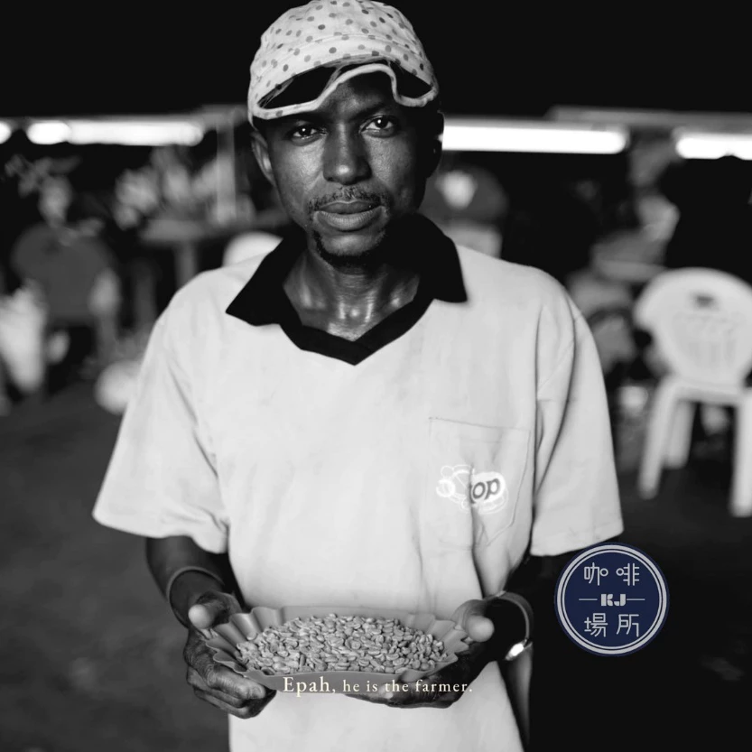 2025台北線上咖啡展【喀麥隆．西非產區】水洗 喀麥隆AFCA No.3《無農藥無化學肥料》淺焙 半磅｜KJ．咖啡場所