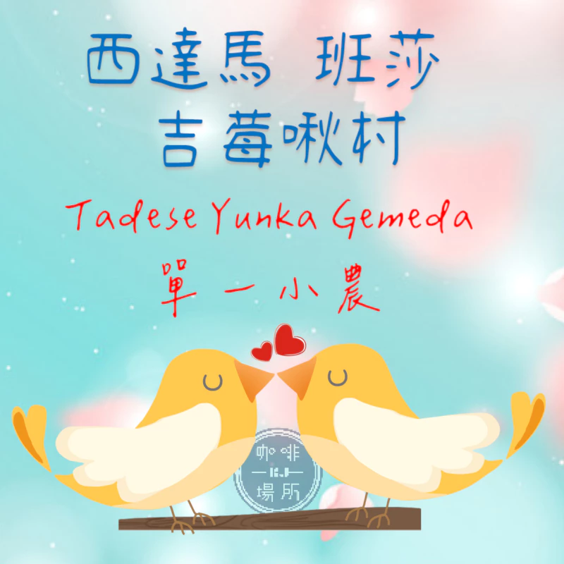 2025台北線上咖啡展～衣索比亞 日曬 西達馬 班莎 吉莓啾村 單一小農批次 G1 淺焙｜KJ．咖啡場所